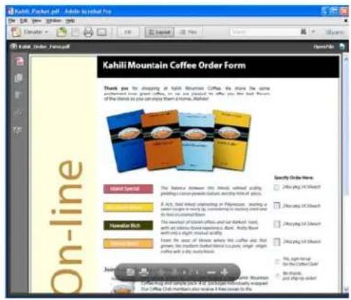ADOBE Acrobat X Standard - Preview modes - 4