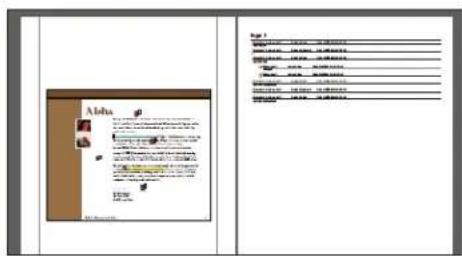 ADOBE Acrobat X Standard - Print a comment summary - 4