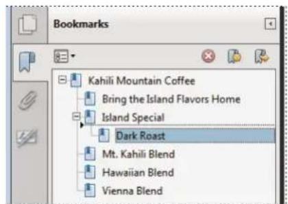 ADOBE Acrobat X Standard - Nest one or more bookmarks - 2