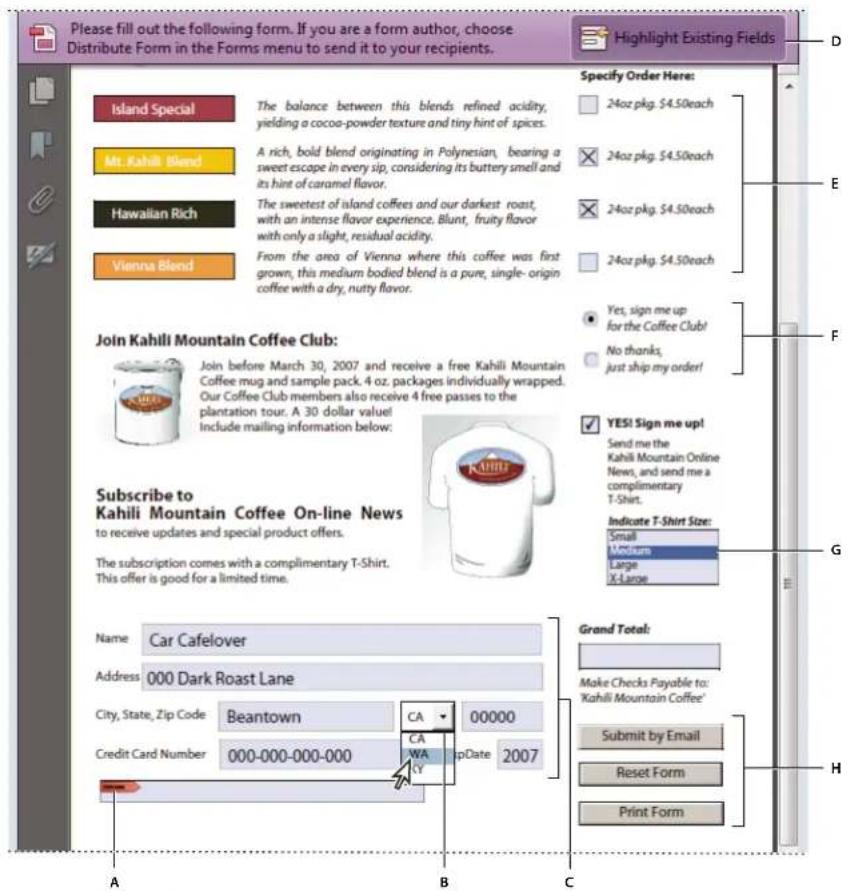 ADOBE Acrobat X Standard - About form elements - 1