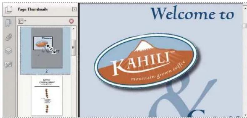 ADOBE Acrobat X Standard - Change the magnification by using a page thumbnail - 1