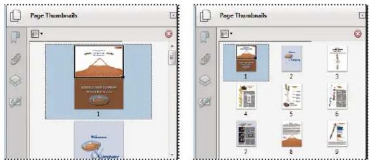 ADOBE Acrobat X Standard - Resize page thumbnails - 1
