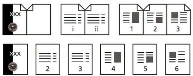 ADOBE Acrobat X Standard - Renumber pages - 1