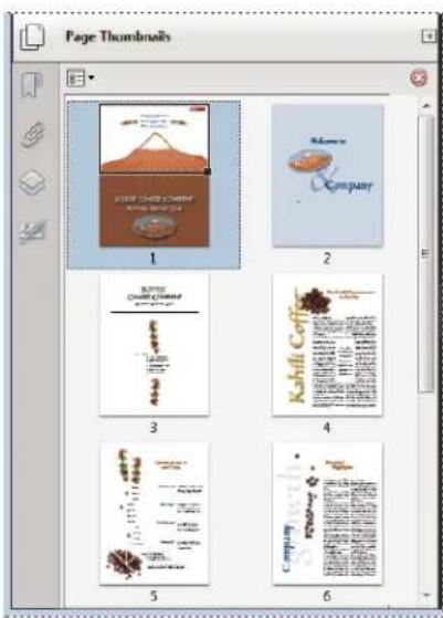 ADOBE Acrobat X Standard - About page thumbnails - 1