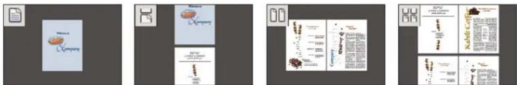ADOBE Acrobat X Standard - Set the page layout and orientation - 1