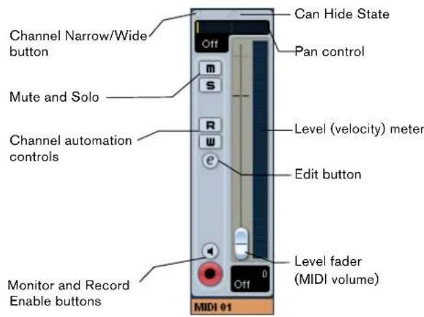 STEINBERG Cubase AI 5 - The MIDI channel strips - 1