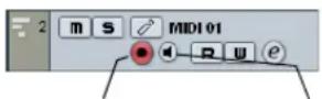 STEINBERG Cubase AI 5 - Activating MIDI Thru - 1