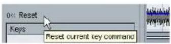 STEINBERG Cubase AI 5 - About the "Reset" and "Reset All" functions - 1