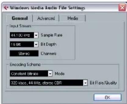 STEINBERG Cubase AI 5 - Windows Media Audio files (Windows only) - 1