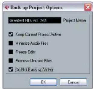 STEINBERG Cubase AI 5 - Back up Project - 1