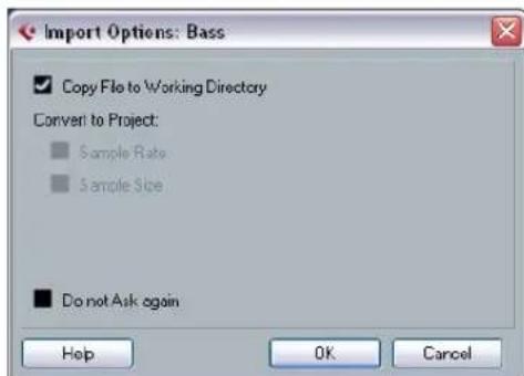 STEINBERG Cubase AI 5 - About the Import Medium dialog - 2