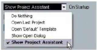 STEINBERG Cubase AI 5 - Startup Options - 1