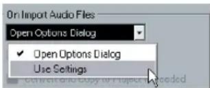 STEINBERG Cubase AI 5 - Audio file import options - 1