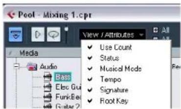 STEINBERG Cubase LE 5 - Customizing the view - 1