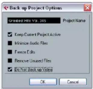 STEINBERG Cubase LE 5 - Back up Project - 1