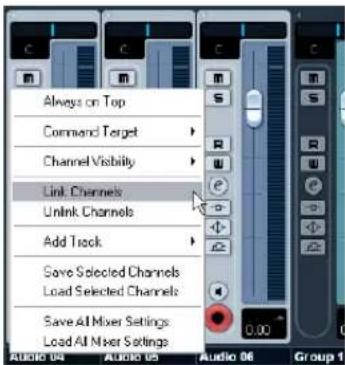 STEINBERG Cubase LE 5 - Link/Unlink channels - 1