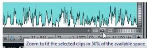 STEINBERG Wavelab LE 9 - Zoom Buttons in the Audio Montage - 2