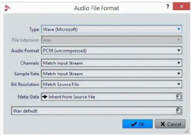 STEINBERG Wavelab LE 9 - Audio File Format Dialog - 1