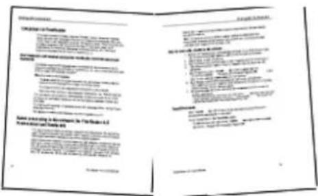 Scanned document page with two columns of Chinese text, likely a legal or administrative form.