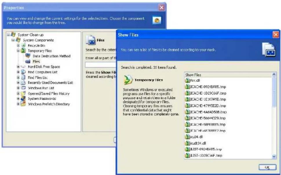 ACRONIS True Image Home 11.0 - "Files" settings - 1