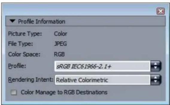 QUARK XPress 10.2 - Profile Information palette - 1