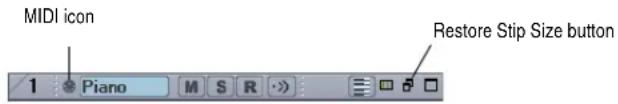 MIDI icon Restore Stip Size button 1 Piano M S R