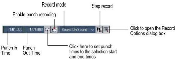 Record mode Enable punch recording 1:01:000 1:01:000 Sound On Sound Step record Punch In Time Punch Out Time Click here to set punch times to the selection start and end times Click to open the Record Options dialog box