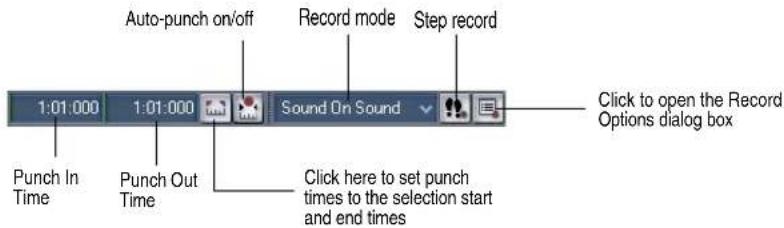 Auto-punch on/off Record mode Step record 1:01.000 1:01.000 Sound On Sound Punch In Time Punch Out Time Click here to set punch times to the selection start and end times Click to open the Record Options dialog box