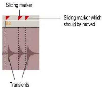 Slicing marker Slicing marker which should be moved Transients
