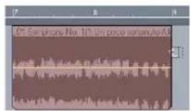 C:\Users\Audio\10.1\process\amni/4\0