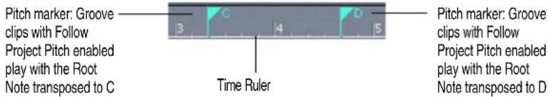 Pitch marker: Groove clips with Follow Project Pitch enabled play with the Root Note transposed to C 3 C 4 D 5 Time Ruler Pitch marker: Groove clips with Follow Project Pitch enabled play with the Root Note transposed to D
