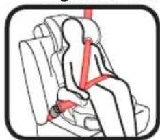 GRACO TurboBooster - Position Shoulder Belt - 3