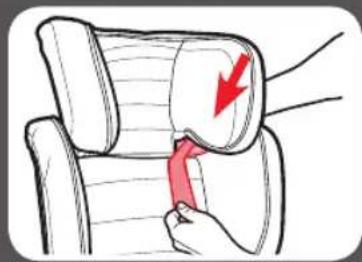 GRACO TurboBooster - Apoyacabeza - 14