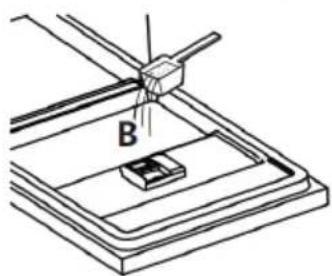 B