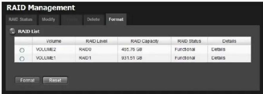 NUUO Crystal NT-4040R - Format - 1