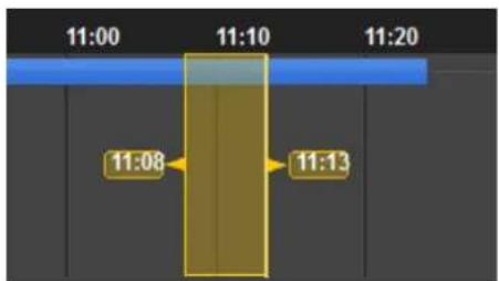 NUUO Crystal CT- 8000R - Export Video - 4