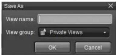 NUUO Crystal CT- 8000R - Select the type of view, either Public or Private, to be duplicated. - 3