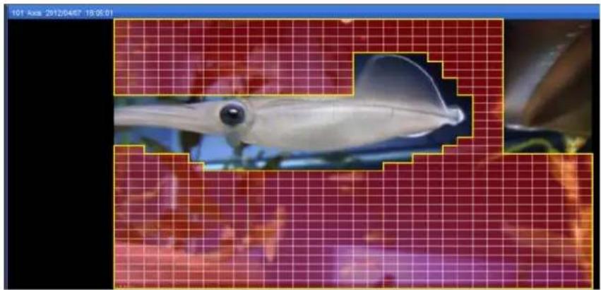 NUUO Crystal CT- 8000R - Motion Search - 18