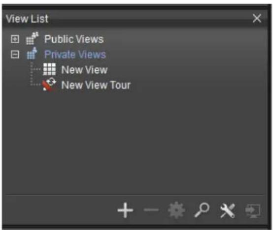 NUUO Crystal CT- 8000R - Select the type of view, either Public or Private, to be duplicated. - 1