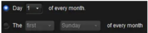 NUUO Crystal CT- 8000R - "Monthly" settings - 3