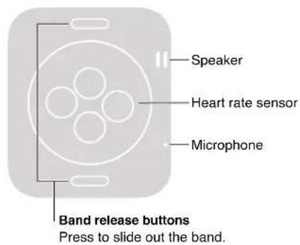 Speaker Heart rate sensor Microphone Band release buttons Press to slide out the band.
