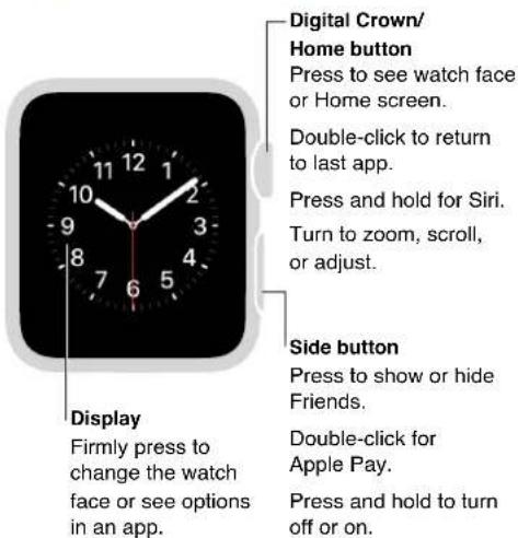 Digital Crown/ Home button Press to see watch face or Home screen. Double-click to return to last app. Press and hold for Siri. Turn to zoom, scroll, or adjust. Side button Press to show or hide Friends. Double-click for Apple Pay. Press and hold to turn off or on.