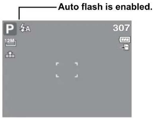 Auto flash is enabled. P 307 12M 12M
