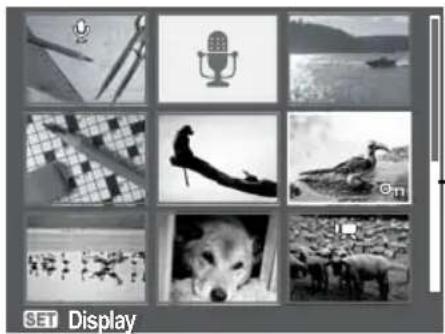 AGFAPHOTO 20191 - Viewing thumbnails - 1