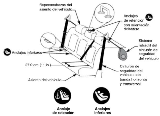 Reposacabezas del asiento del vehículo Anclajes de retención con orientación delantera Sistema retractil del cinturón de seguridad del vehículo Cinturón de seguridad del vehículo con banda horizontal y transversal Anclajes inferiores 27,9 cm (11 in.) Asiento del vehículo Anclaje de retención Anclajes inferiores