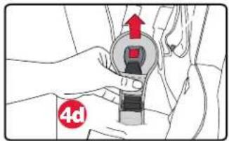 4d
