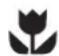 Chef CFG504SBNG - Important – check for any damage or marks - 1