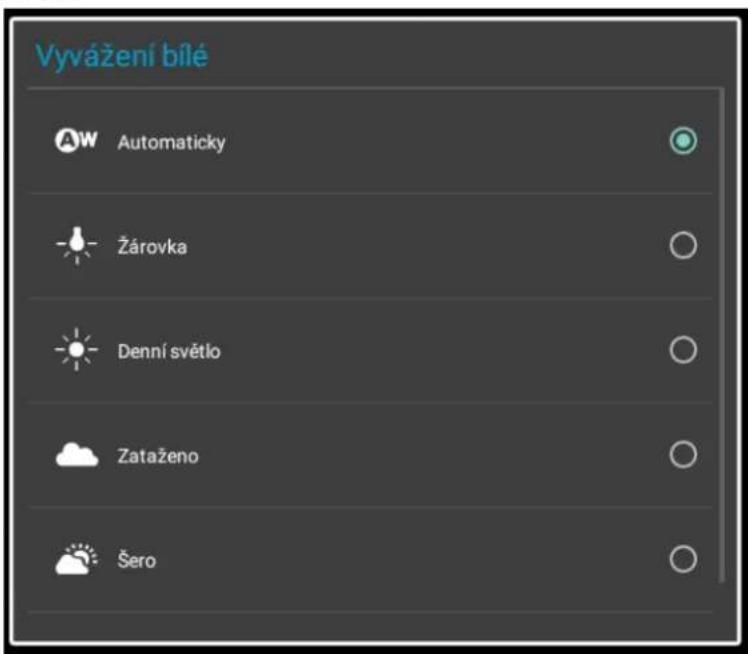 Vyvážení bílé AW Automaticky Žárovka Denní světlo Zataženo Šero
