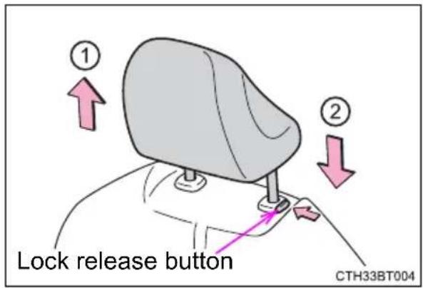 TOYOTA Camry HV (2022) - Head restraints are provided for all seats. - 1