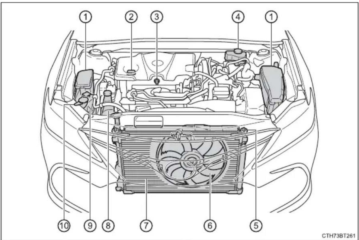 TOYOTA Camry HV (2022) - Engine compartment - 1